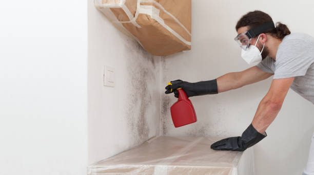 Professional Bathroom Mold Removal technician working in Madison, MN